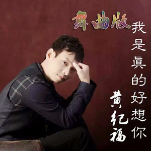 我是真的好想你 (舞曲版)