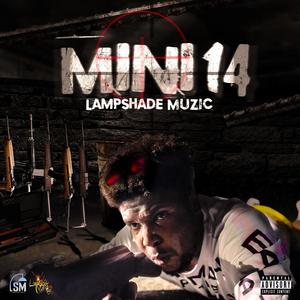 Mini 14 (Explicit)