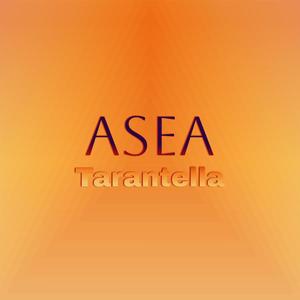 Asea Tarantella