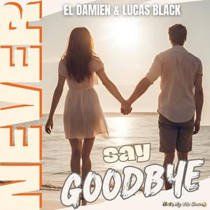 Never Say Goodbye
