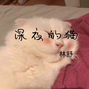 深夜的猫