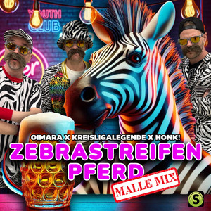 Zebrastreifenpferd (Malle Mix)