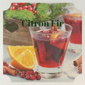 Citron Fir