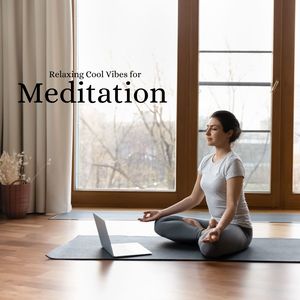 Relaxing Cool Vibes For Meditation