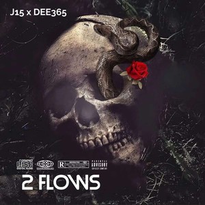 2 Flows (Explicit)