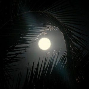 Jannik --A Story of Fate (YSMUZ remix)