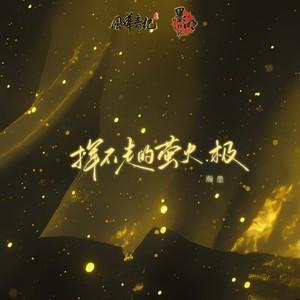 挥不走的萤火.极