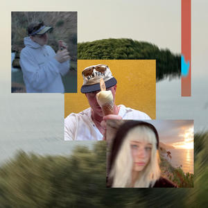 Korony drzew