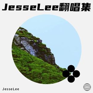 不流泪的机场封面