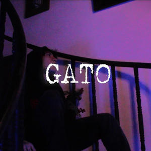 GATO (Explicit)