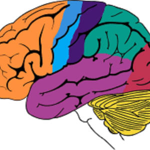 Know-It-Alls (feat. Sea El Britter) (Explicit)