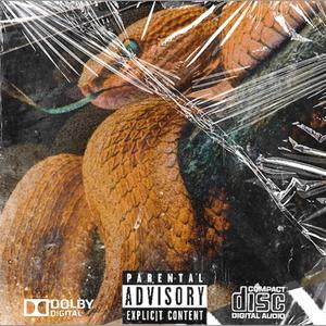 Snakes in my Garden (feat. AcquiredTaste & 03 Greedo) (Explicit)