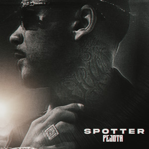 SPOTTER (Explicit)