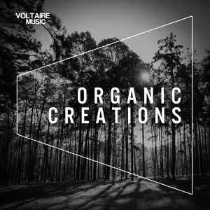 Organic Creations (Issue 1)