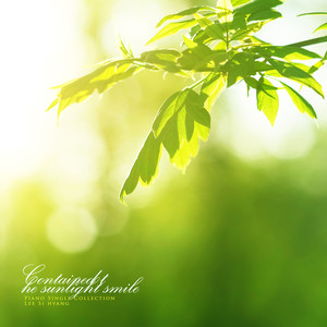 나른한 햇살에 (In the sunshine)