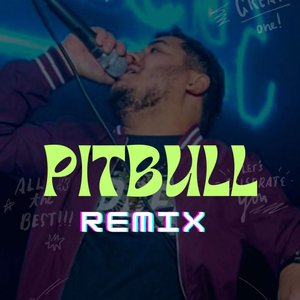 Pitbull (remix)