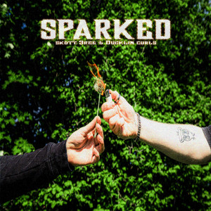 SPARKED (Explicit)