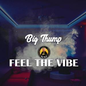 Feel The Vibe (Explicit)