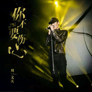 你不要伤心 (伴奏)