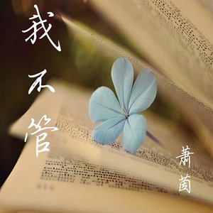 爱笑的眼睛 (伴奏)