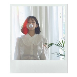 소설 / 小說 (Fiction)