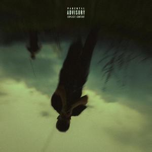 Renegade - i'm (not) ok