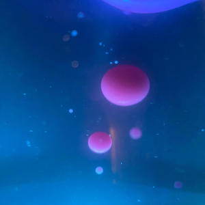 moonbeams (feat. Rip Van Willow)