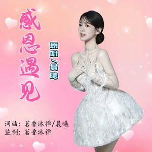 感恩遇见 (伴奏)