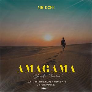 Amagama (Your Name) (feat. Mthokozisi Ndaba & JTtheVoice)