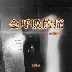会呼吸的痛 (DJ慢摇版)