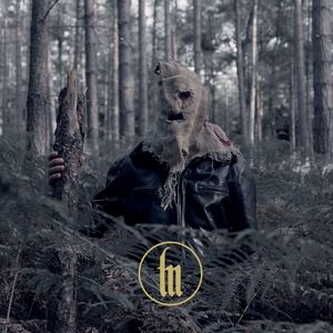 L.S.D For The Holy Man