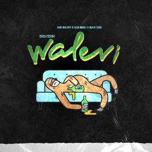 SISI WALEVI (feat. Lesa Mkali & Mack Zube)