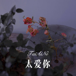 太多的不舍 (Remix)