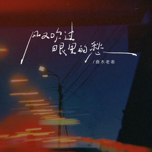 风又吹过眼里的愁