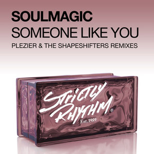 Someone Like You (Plezier Remix)