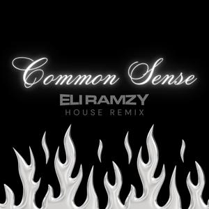 common sense (feat. Eli Ramzy) (eli ramzy house remix)
