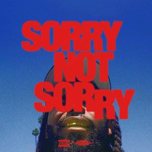 Sorry Not Sorry (Explicit)