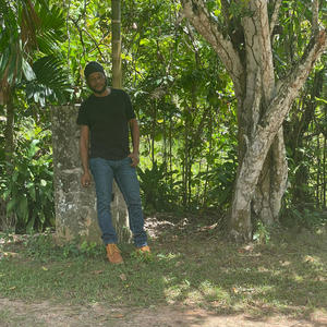 Reggae on the Highways