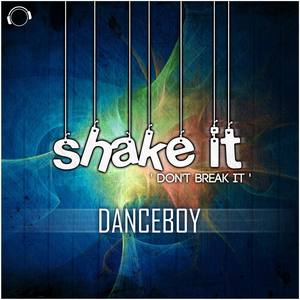 Shake It Dont Break It (Radio Edit)
