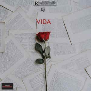 VIDA (Explicit)