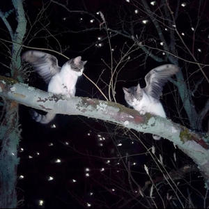 geekbar (feat. morningstar) (Explicit)