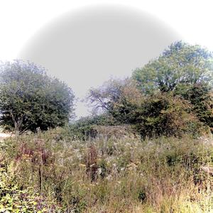 the devil in disguise