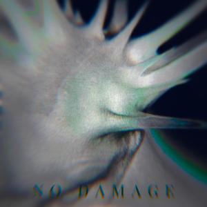 No Damage (feat. Lordie the goat) [Explicit]