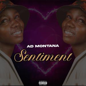 Sentiment (Explicit)