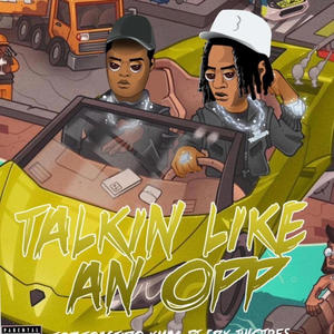 Talkin Like An Opp (Explicit)