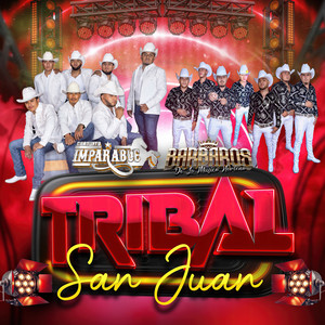 Tribal San Juan