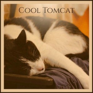 Cool Tomcat