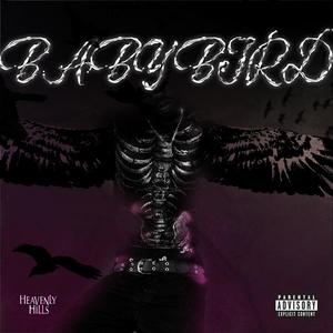 Babybird (Explicit)