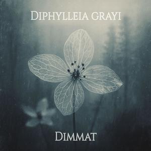 Diphylleia Grayi
