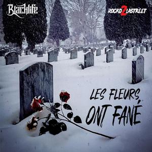 Les Fleurs Ont Fané (feat. Rocko2lastreet)